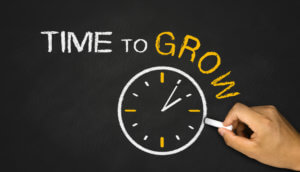 How to Grow Your Business