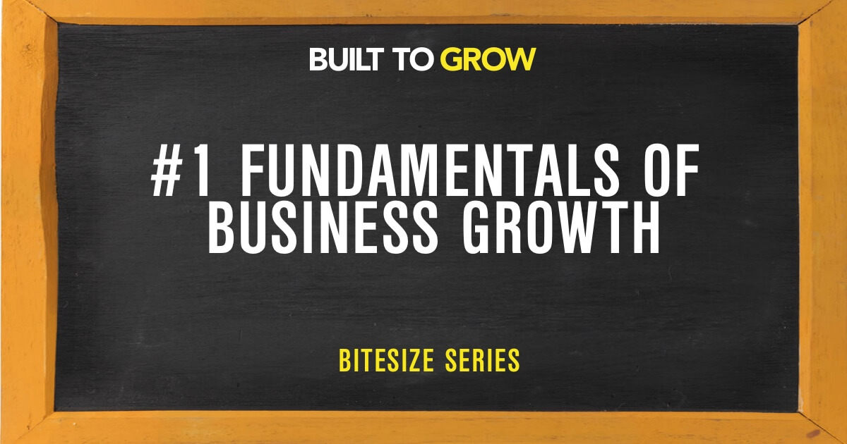 BTG Bitesize #1 Fundamentals of Business Growth