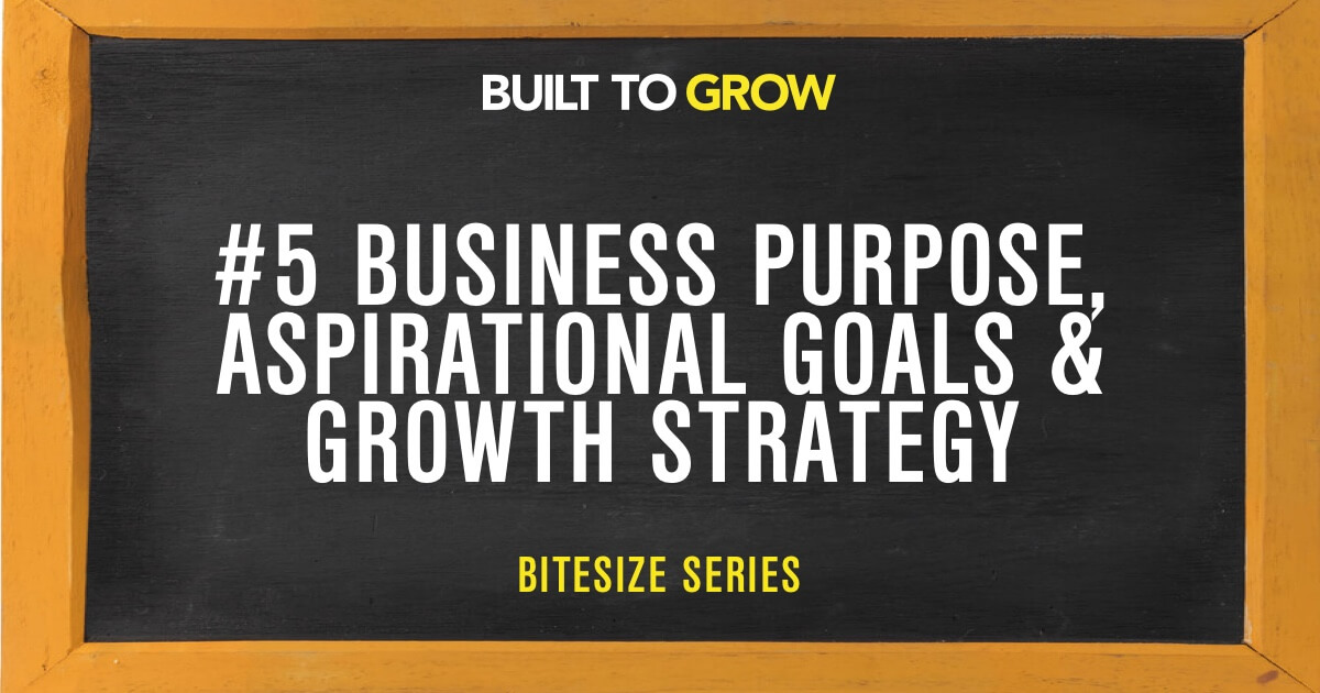 Built to Grow Bitesize #5 Business Purpose Aspirational Goals & Growth Strategy