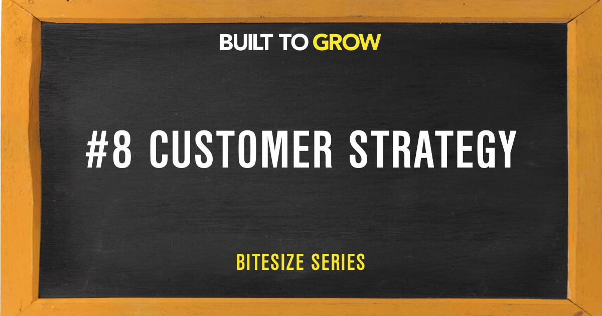 Built to Grow Bitesize #8 Customer Strategy